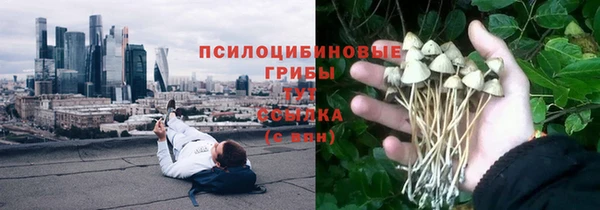гидропоника Армянск