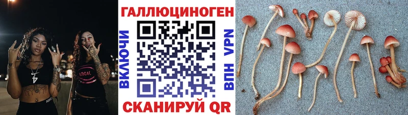 Галлюциногенные грибы Psilocybine cubensis Соль-Илецк